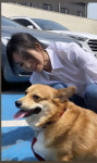 송혜교를 외면하다니…미인을 못 알아보는 강아지 모습에 웃음 [TEN★]