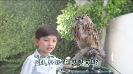 선우용여 딸 최연제, 美 대저택→난임 전문 한의원 운영하는 일상 공개 (프리한 닥터M)