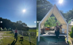 전진♥류이서, 애견 카페에서 화보찍는 부부...기분 좋은 하루[TEN★]