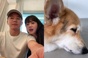 '김무열' 윤승아, 암 투병 중 밤비 근황 공개 
