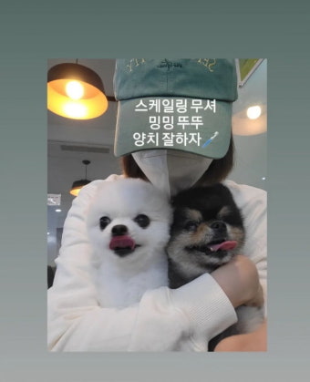'안성현' 성유리, 극성맘이라 불러도 괜찮아…반려견 건강 지킴이[TEN]