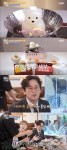 김정태, 샤로수길 귀염뽀짝 곰젤리 샤부샤부에 몰입...슬퍼서 못 먹겠다(줄 서는 식당)