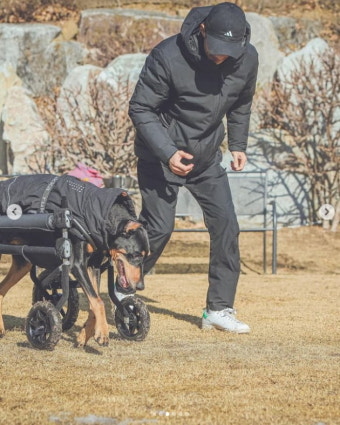 배정남, 전신마비 반려견 벨 근황...혼자 걷기 성공 