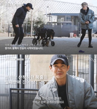 배정남, '전신마비 판정' 반려견 벨과 7개월만 산책 