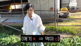 김승현母 백옥자, 김포 농장주 됐다…남편 몰래 꾸민 옥자농장(김승현가족)