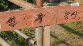 김승현母 백옥자, 김포 농장주 됐다…남편 몰래 꾸민 옥자농장(김승현가족)