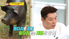 [종합] 전현무, 벌써부터 연예대상 욕심…하반기에 수상 확률↑, 추석 지나면 네 발로 기어 (사당귀)