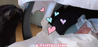 박수홍김다예, 