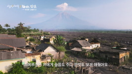 아들은 안 했으면…맨몸 벌꿀 채집→독한 유황 가스, 가족 위해 위험 감수(화산, 인간)