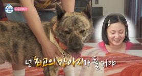 [종합] 박나래, 알고보니 동거 중이었다…같이 산 지 2달 반 정도 돼 (나혼산)