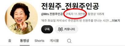 전원주 유튜브 중단 '돈 문제' 알려지자 