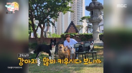 박세리, 반려견 위해 타운하우스 이사…