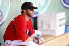 작지만 강한 더스틴 페드로이아