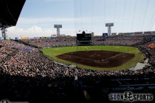 여기가 바로 대회가 열리는 고시엔구장!