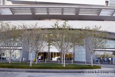 아직까지는 시간이 필요한 외부 조경