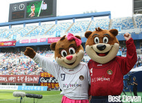 대전, 대표 이사 공개 모집 재공고