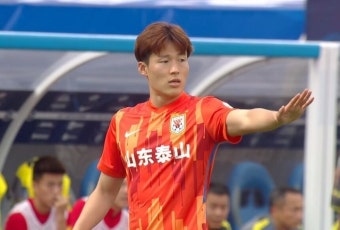 中 현지 법률 전문가들, 
