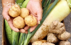 Chefs Farm 직접 키워 조리한다!