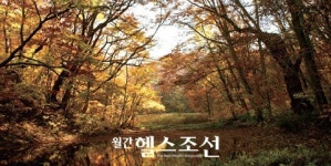 온천욕·단풍·숲 걷기 명상…심신 건강 찾아 떠나는 가을여행