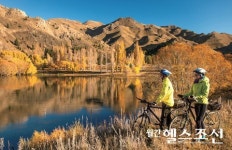 두 바퀴와 두 발의 느린 여행