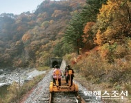 늦가을 바람의 속삭임을 만끽하는 레일바이크 여행