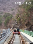 늦가을 바람의 속삭임을 만끽하는 레일바이크 여행
