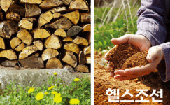 [흙처럼 아쉬람 고제순 원장 인터뷰] 건강한 집에서 사는 것부터 행복은 시작된다