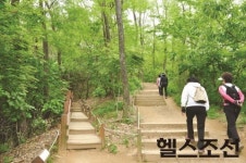 제대로 걸으면 최고 명약, 잘못 걸으면 독
