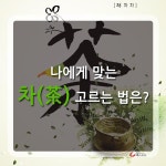 [카드뉴스] 나에게 맞는 차(茶) 고르는 법은?