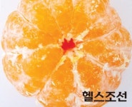 귤, 대파, 미역, 파래, 가리비, 명태 12월 제철식품으로 건강한 겨울나기