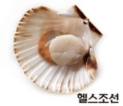 귤, 대파, 미역, 파래, 가리비, 명태 12월 제철식품으로 건강한 겨울나기