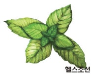 몸과 마음을 가쁜하게… 향기 건강법