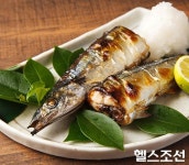 오메가3 풍부한 꽁치·과메기로 겨울나기