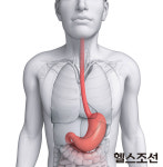 입냄새, 기침, 흉통 ‘식도’가 문제야