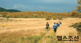 힐링여행 4選…단풍 들 무렵, 가을여행