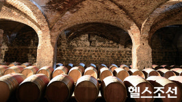 세계 와이너리 TOP 4