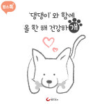 [카드뉴스] ‘댕댕이’와 함께, 올 한 해 행복하’개’