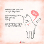 [카드뉴스] ‘댕댕이’와 함께, 올 한 해 행복하’개’