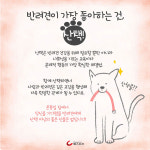 [카드뉴스] ‘댕댕이’와 함께, 올 한 해 행복하’개’