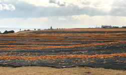 나를 위한 시간 제주 올레를 걷다