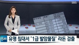 대진침대 라돈 사건…음이온 제품 피폭 우려 