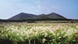 은빛 억새 바다·몽돌해안 건너 등대섬… 발 닿는 족족 가을이구나!