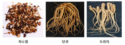 성질 따뜻한 약초로 차 만들어 몸 녹여볼까…