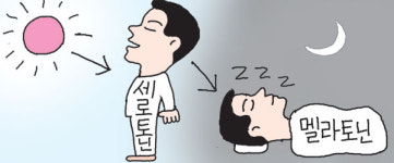 [소소한 건강 상식] 낮과 밤 호르몬은 꼭 닮은 사촌 사이
