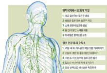 문제는 면역력… 림프계 활성화로 감염 맞서자