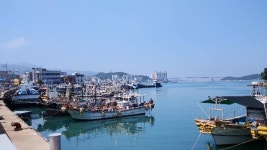 [깐깐한 미식일기] 전복의 비애, 완도의 불안