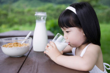[따져봤다]나, 우유 알레르기... 치즈·요구르트 먹어도 돼?