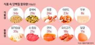 닭가슴살 말고… 추천할 만한 고단백질 식품 9