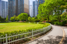 코로나로 우울하다면… 이곳 걸어보세요