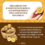 [카드뉴스] 제주에서 OO가 자란다? 사시사철 영양이 꽉 찬 ‘철없는’ 과일